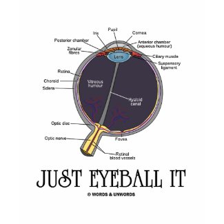 Just Eyeball It (Eye Anatomy Approximation Saying) shirt