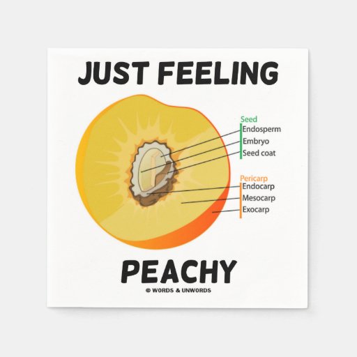 Just Feeling Peachy Peach Anatomy Humor Paper Napkin Zazzle 