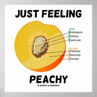 Just Feeling Peachy (Peach Anatomy Humor) Poster