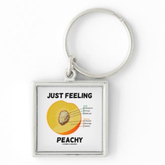 Just Feeling Peachy (Peach Anatomy) keychain
