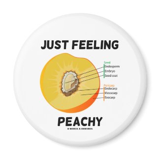 Just Feeling Peachy (Peach Anatomy) magnet