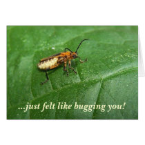 ...just felt like bugging you! cards