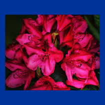 Just for you posters by zack12349 Just for you posters