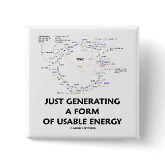 Just Generating A Form Of Usable Energy (Krebs) button