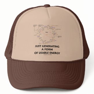 Just Generating A Form Of Usable Energy (Krebs) hat