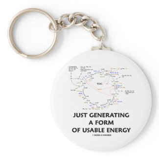 Just Generating A Form Of Usable Energy (Krebs) keychain