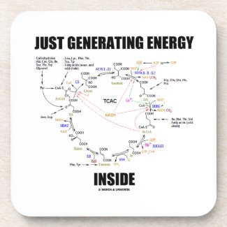 Just Generating Energy Inside Biochemistry Krebs Drink Coasters