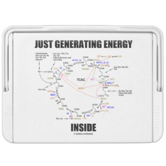 Just Generating Energy Inside Biochemistry Krebs Igloo Cooler