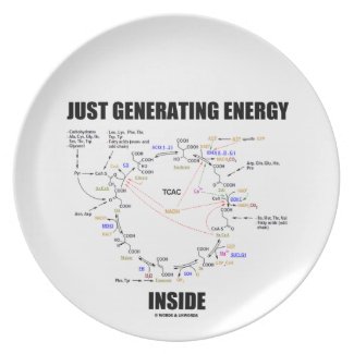 Just Generating Energy Inside Biochemistry Krebs Dinner Plates