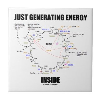 Just Generating Energy Inside Biochemistry Krebs Ceramic Tile