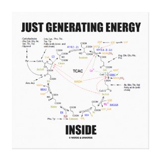 Just Generating Energy Inside Krebs Cycle Humor Canvas Print