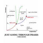 Just Going Through Phases (Chemistry Humor) t-shirts