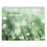Just green 2011 Calendar
