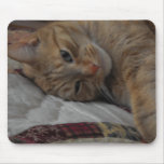 Just had a hard day mousepads