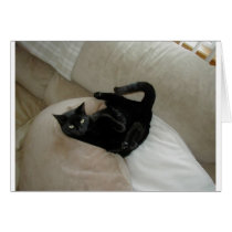 Just Hangin' Out! cards by debdolfyn Just Hangin' Out! cards