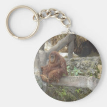 Just Hangin' Out Key Chains