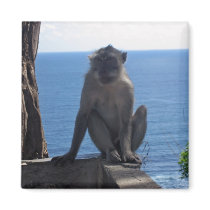 Just hangin' out... magnets by ArdentDS Just hangin' out... magnets