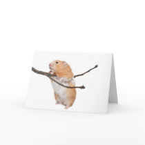 just hanging around cards