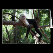 Just Hanging Around Notecard cards
