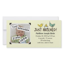 Just Hatched! Baby Announcement photocard