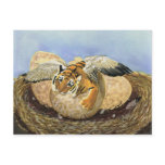 Just Hatched Post Cards