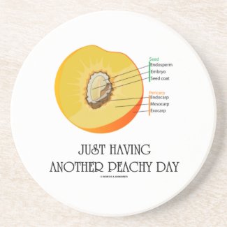 Just Having Another Peachy Day (Peach Anatomy) Drink Coasters