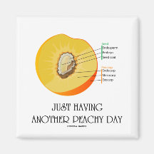 Just Having Another Peachy Day (Peach Anatomy) Refrigerator Magnet