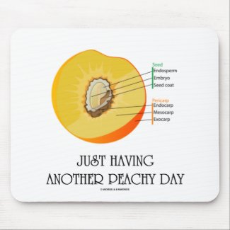 Just Having Another Peachy Day (Peach Anatomy) Mouse Pad