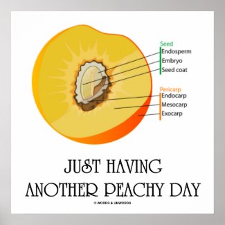 Just Having Another Peachy Day (Peach Anatomy) Poster