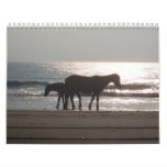 Just Horses Calendar