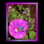 Just Humming Along Poster