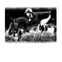 Just Jump t-shirts by EquineDesigns Just Jump t-shirts