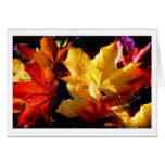 JUST LEAVES CARDS