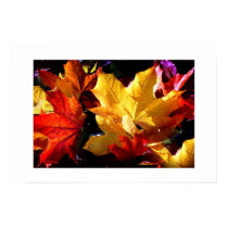JUST LEAVES posters