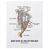 Just Look At Me In The Eye (Anatomical Humor) Flyer Design