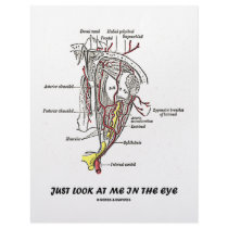Just Look At Me In The Eye (Anatomical Humor) Letterhead Template