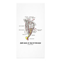 Just Look At Me In The Eye (Anatomical Humor) Personalized Photo Card
