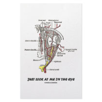 Just Look At Me In The Eye (Anatomical Humor) stationery by wordsunwords Just Look At Me In The Eye (Anatomical Humor) stationery