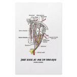 Just Look At Me In The Eye (Anatomical Humor) Custom Stationery