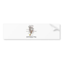 Just Look At Me In The Eye (Anatomy) Bumper Stickers