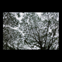 Just Look Up! posters
