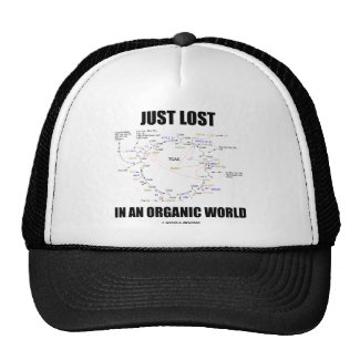 Just Lost In An Organic World (Krebs Cycle Humor) Mesh Hat