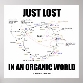 Just Lost In An Organic World (Krebs Cycle) Print