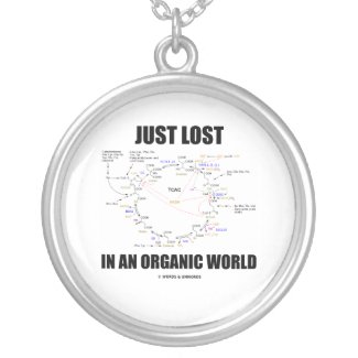 Just Lost In An Organic World (Organic Chemistry) Custom Necklace