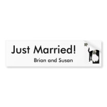 Just Married! Bumper Sticker Template bumper stickers