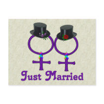 Just Married Formal Lesbians Post Card