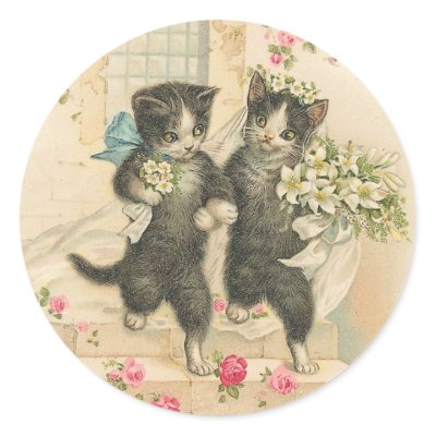 cats married
