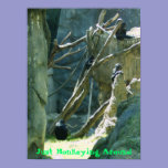 Just Monkeying Around posters