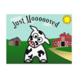 Just Moooved Postcards
