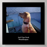 Just One Duck posters